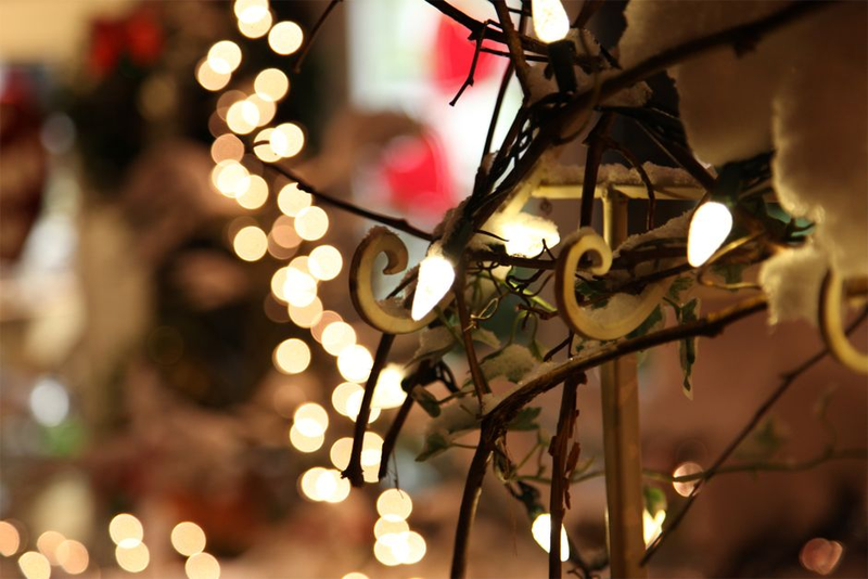 Illustration for article titled Shooting Challenge: Bokeh, Gallery 2